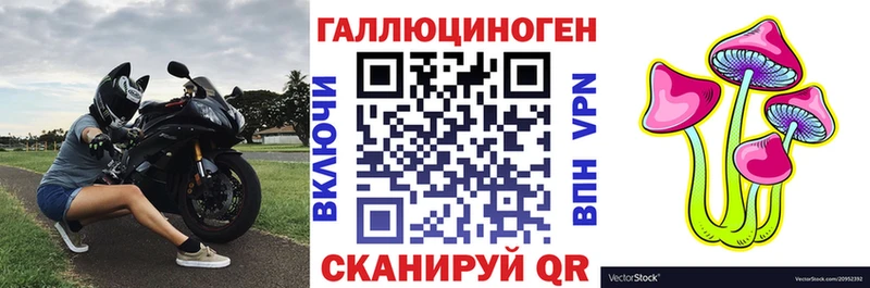 Галлюциногенные грибы Magic Shrooms Дятьково
