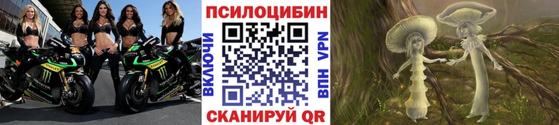 Галлюциногенные грибы Psilocybine cubensis  Дятьково 